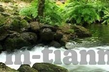 国产麻豆剧果冻传媒白晶晶-国产剧中的璀璨明珠，白晶晶在果冻传媒的魅力展现