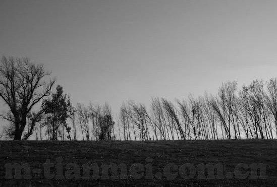 果冻传媒下载地址-果冻传媒，探索数字娱乐新境界的下载指南