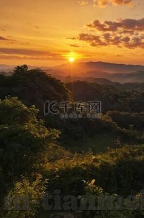 全国最大成人免费网站视频-探索成人教育新视界，全国最大成人免费网站视频的潜在影响与挑战