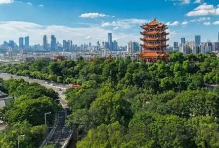 糖心app官方下载苹果-探寻甜美世界，糖心APP官方下载在苹果生态的甜蜜启程