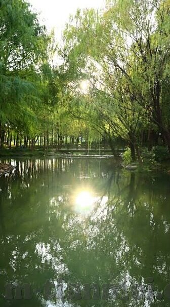 糖心vlog下-糖心Vlog，一场关于生活细节的艺术性展露