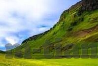 乌鸦传媒 麻豆-乌鸦传媒与麻豆，网络娱乐圈的独特风景