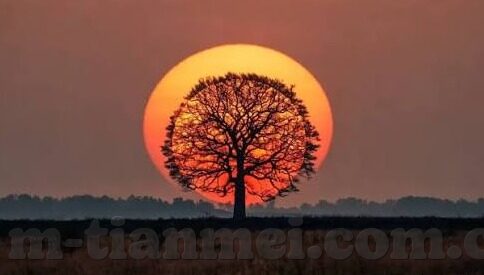 亚洲福利一区二区三区-亚洲福利一区二区三区，区域发展与社会福祉的多元视角