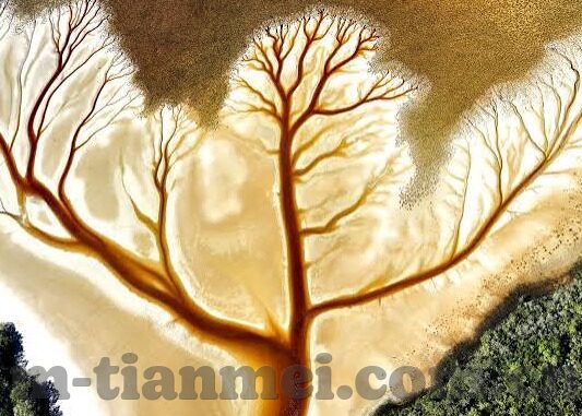 亚洲最大成人视频网站-亚洲最大成人视频网站，网络文化的另一面