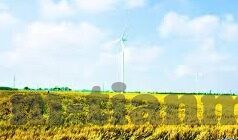 最新成人手机在线视频播放-成人手机在线视频播放，现代生活的一道双刃剑